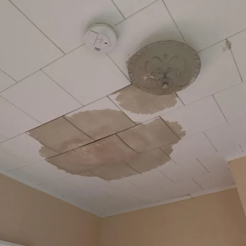 Ceiling Water Damage Repair in East Haddam, CT