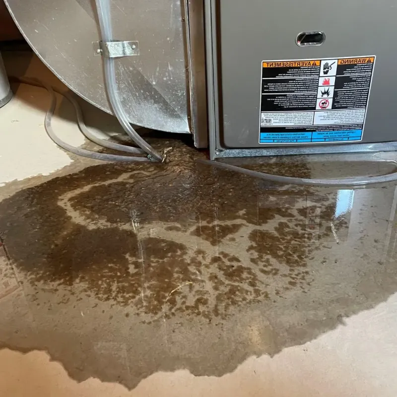 Pipe Burst and Leak Restoration in East Haddam, CT