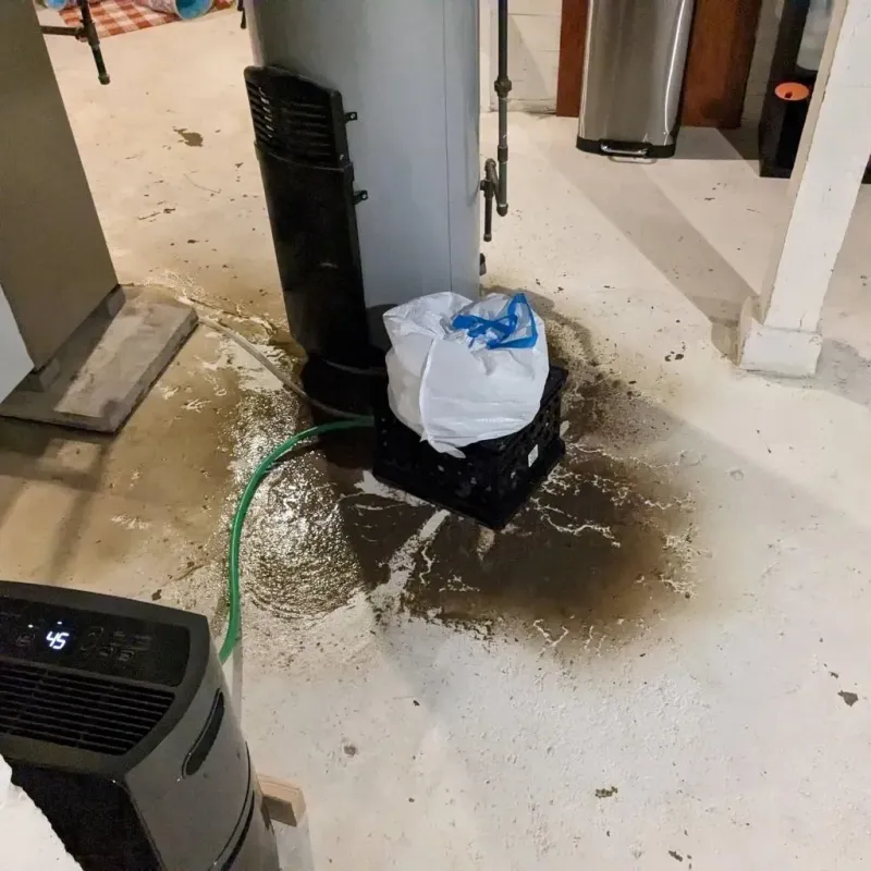 Sewage Backup Cleanup Service in East Haddam, CT